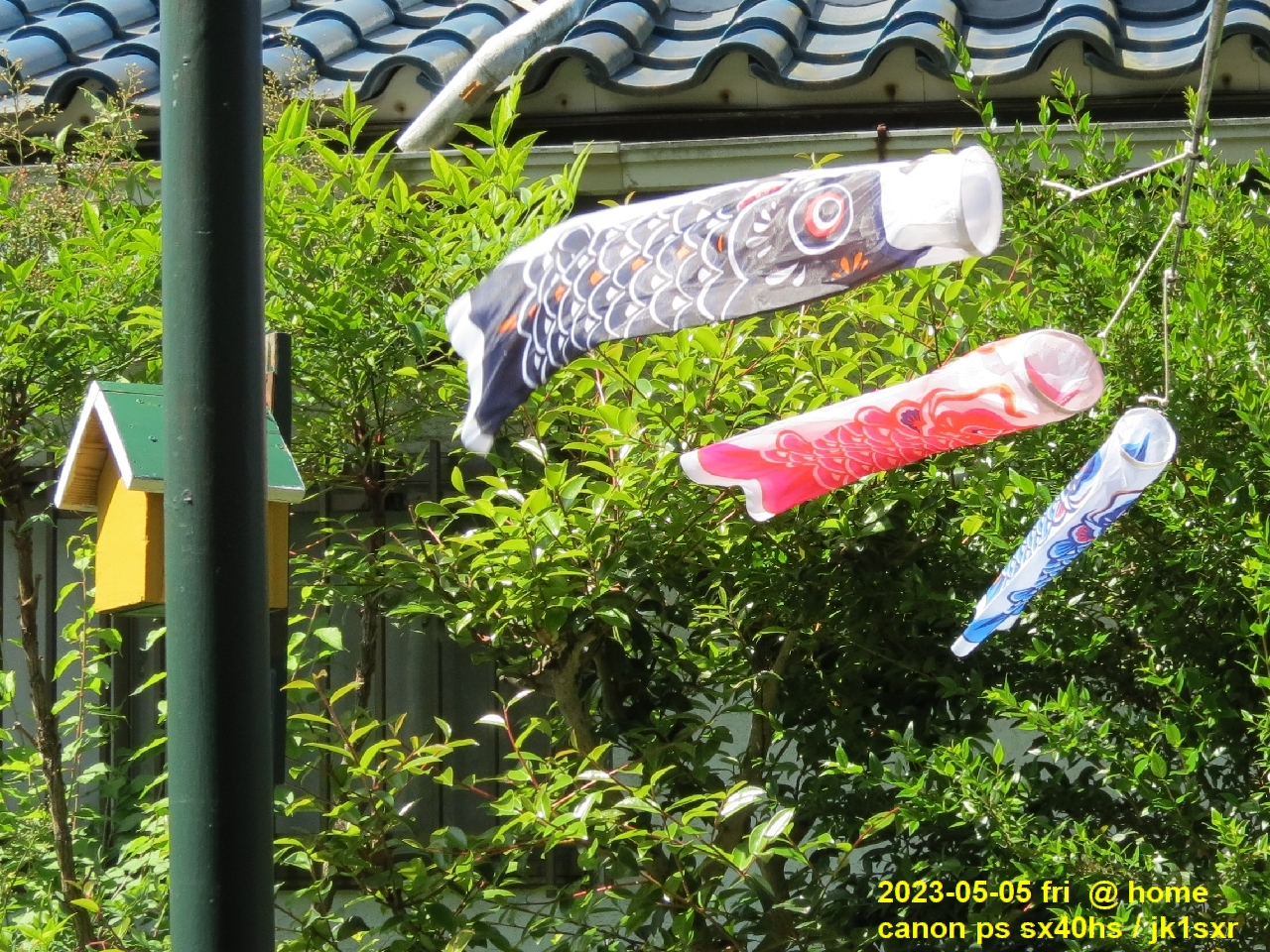 koinobori 2